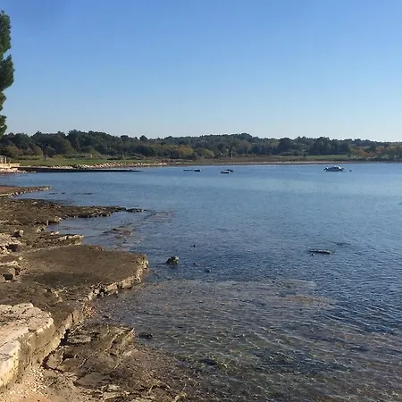 Larsen * Novigrad Istria
